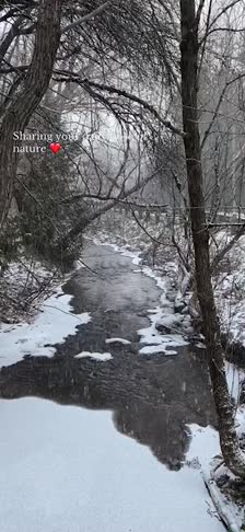 kanvas-2058c6db-c6b2-4093-975f-ce5e1f862b51