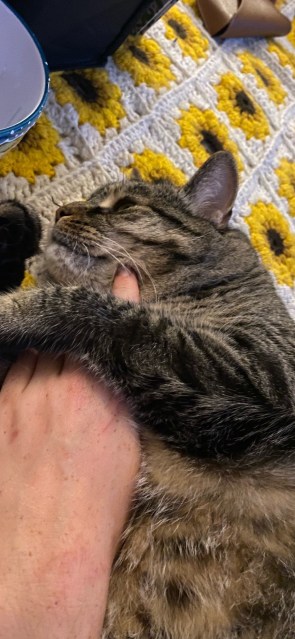 {“source”:”library”}